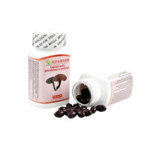 Capsule Ganoderma  et Cordyceps